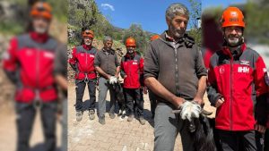 Antalya’da mahsur kalan keçiler için nefes kesen operasyon!