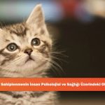 Eren Elmalı Sakatlandı